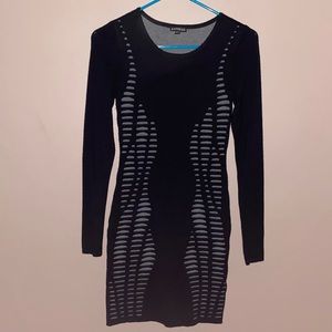 Express sweater dress